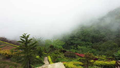 Revealing-opening-drone-shot-of-a-beautiful-garden-at-a-foggy-hill-in-the-Philippines,-Asia,-Drone