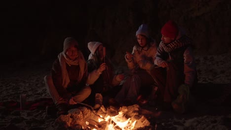 amigos disfrutando de una fogata en la playa por la noche