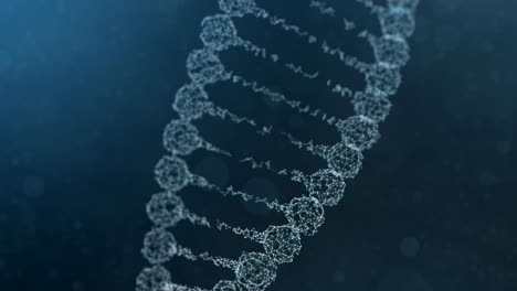 assembling and scattering of a rotating plexus dna chain - blue version
