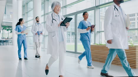Teamwork,-healthcare-and-walking-with-doctors