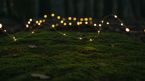 a serene display of twinkling lights on lush green moss, creating a dreamy atmosphere in a mystical forest surrounding