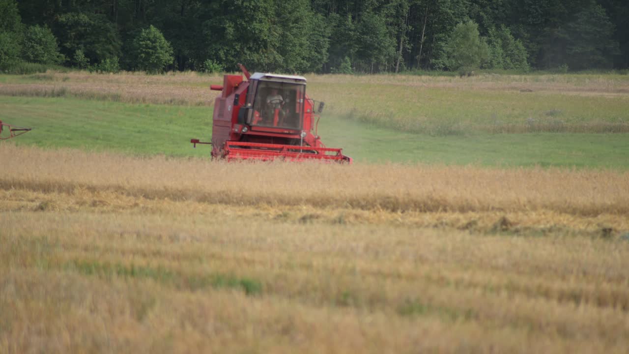 red tractor harvesting grain wheat field in countryside, modern agricultural