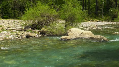 Klares-Wasser-Des-Waldflusses,-Der-An-Felsen-Vorbeifließt,-Zeitlupe