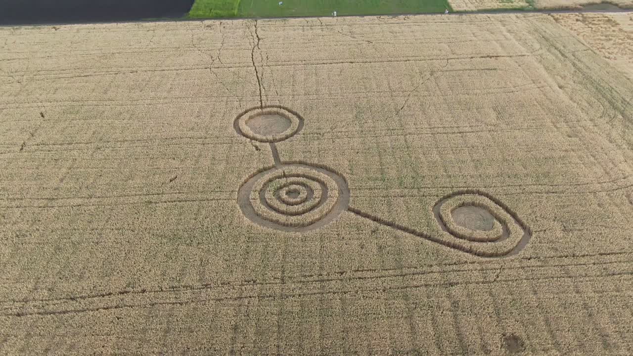 밀 에 있는 작물 원