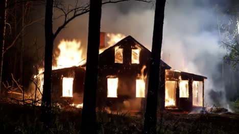 a dramatic scene of a house engulfed in flames, surrounded by dark forest trees and billowing smoke, capturing the intensity of a destructive fire