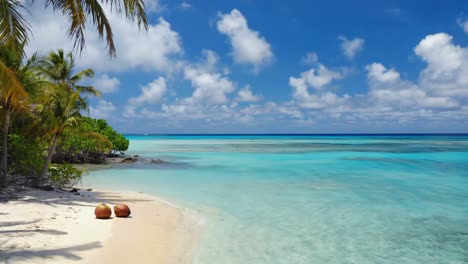 two coconuts are lying on a white sandy beach with palm trees, bushes, turquoise water and a blue sky with clouds creating a perfect idyllic tropical paradise