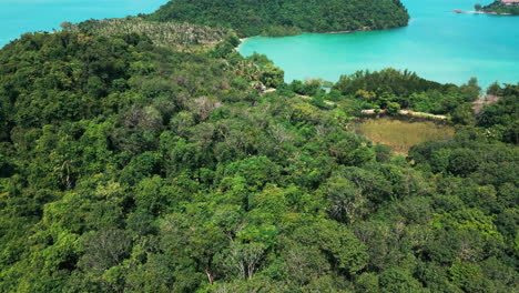 tropical island landscape from above
