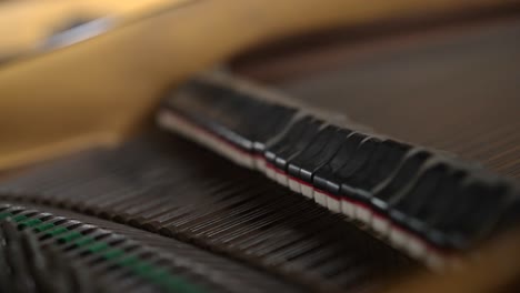 ver dentro de un hermoso piano de cola marrón, martillos y cuerdas moviéndose rápido mientras el pianista toca música clásica