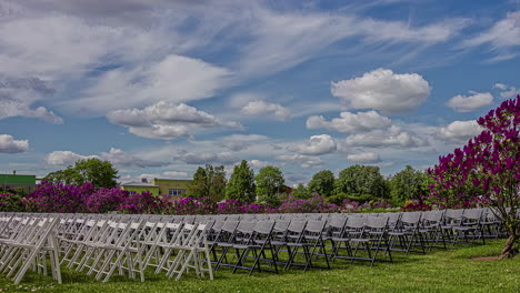 motion blur timelapse or purple flowers moves next to chairs for an outdoor meeting