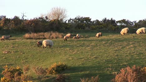 ballinskelligs on the ring of kerry