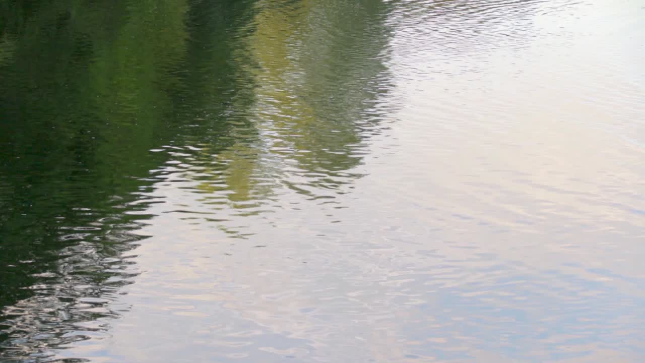 los árboles se reflejan en el agua ondulada del río.