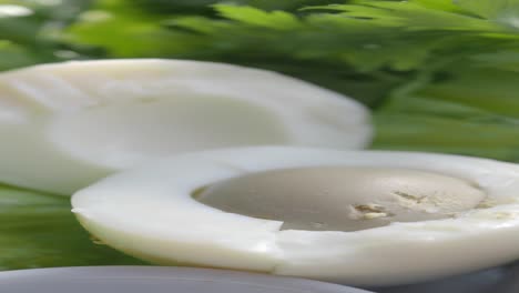 closeup of a hard boiled egg