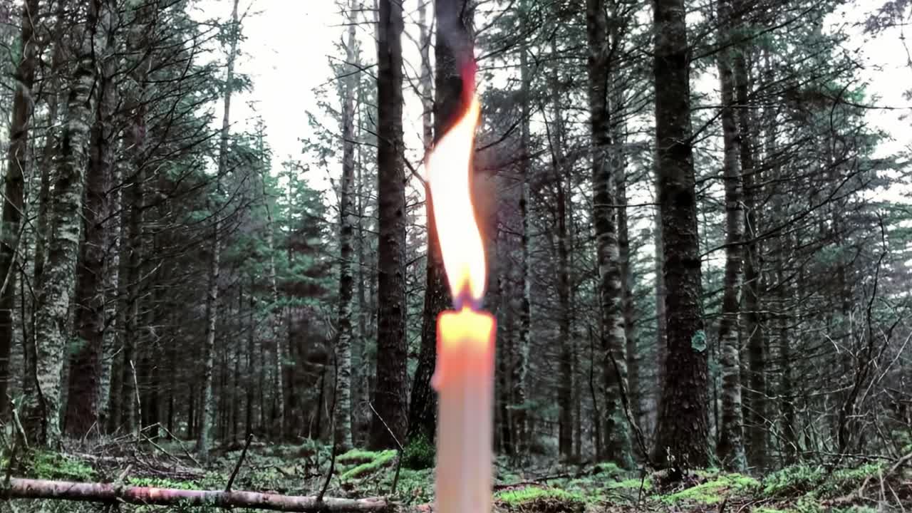 Illuminated Flame: A Candle's Struggle Against Darkness in a Dense Forest Landscape Captured in Motion