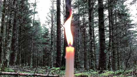 illuminated flame: a candle's struggle against darkness in a dense forest landscape captured in motion