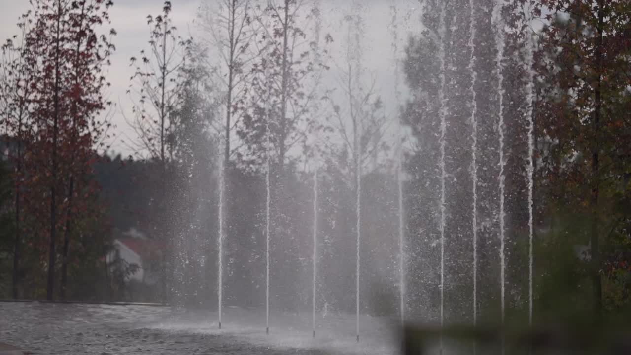 Water fountain with tall vertical jets spraying mist among trees in soft lighting