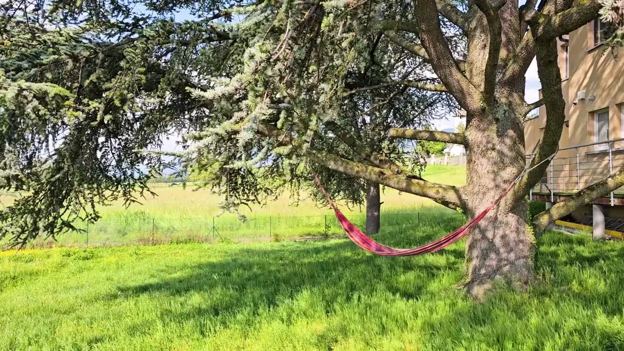 hammock in the idyllic green fields, wind blowing