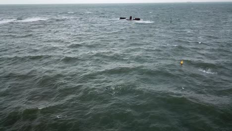 Drone-aerial-over-ocean-Melbourne-wavy-windy-cloudy-man-swimming-seagull-flying-close