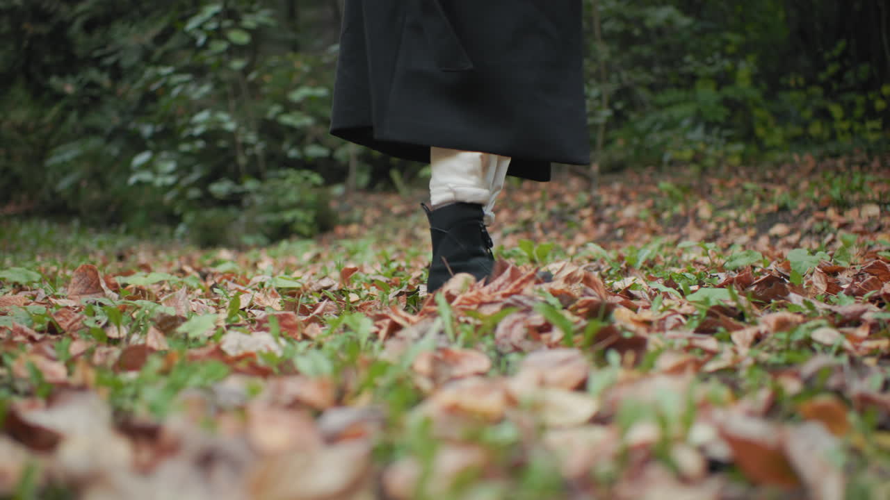 Leg view of pensive walker in black boots gathering dry leaves with steps, coat swinging over white trousers, slow stroll on brown forest carpet with soft light, calm autumn mood along green path