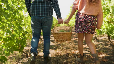 back view close up of man and woman carrying a basket with grapes