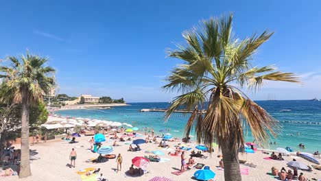 tourists sunbathing on a vibrant monte carlo beach