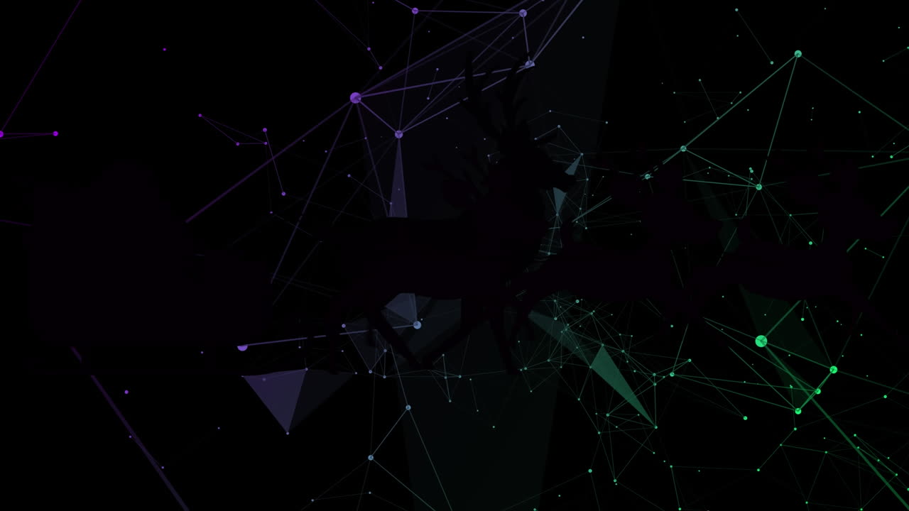 Animation of network of connections on black background