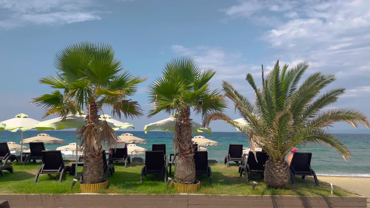 Palm tress and beach sun umbrellas at the sea