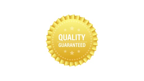 quality guaranteed. check mark. premium quality symbol. motion graphics.