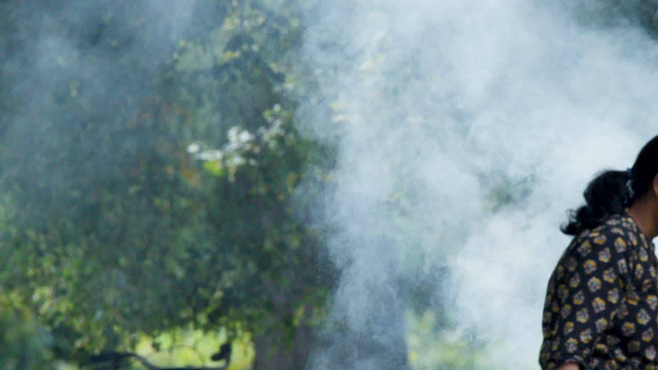 Barbecue smoke billows in a green park, people partially visible, natural daylight, static shot