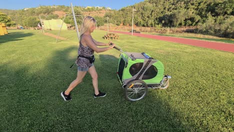 Eine-Dame-Mit-Ihrem-Kürzlich-Operierten-Boxerhund-In-Einem-Hundewagen-Auf-Dem-Rasen-Im-Park