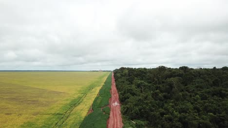 la imagen aérea muestra la plantación de soja dividida por un camino de flujo de producción en un lado y la reserva forestal amazónica en el otro lado