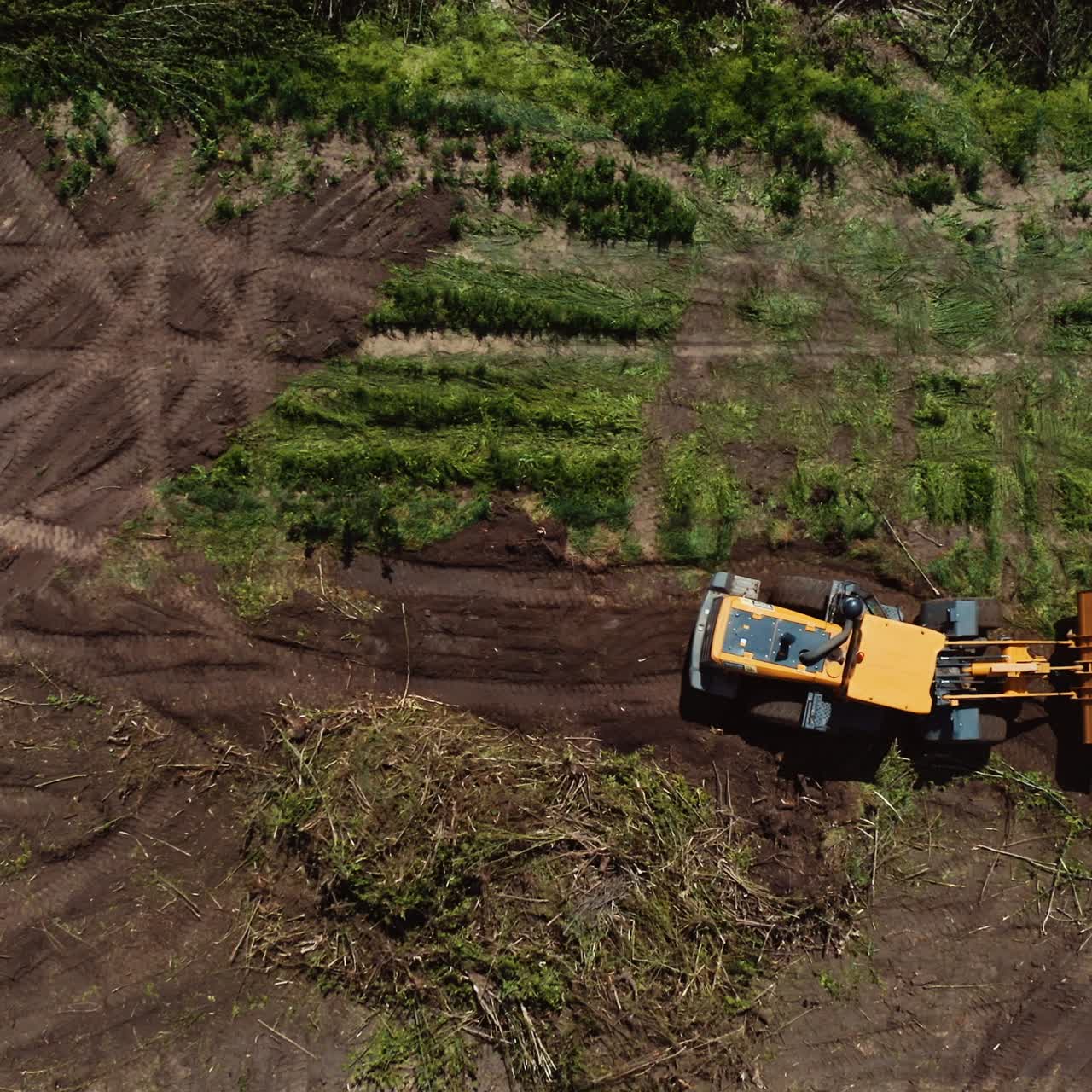 Bulldozer working on field