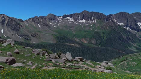 panoramic view of lush green mountains with wildflowers