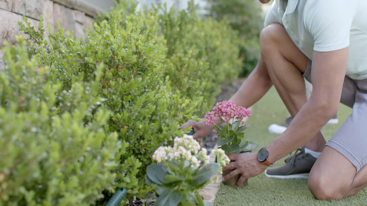 hombre biracial feliz jardinería, plantar flores en el jardín soleado, copiar el espacio, cámara lenta