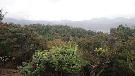 Affe-Springt-Vom-Baum-Mit-Einem-Wunderschönen-Berghintergrund,-Kyoto,-Japan