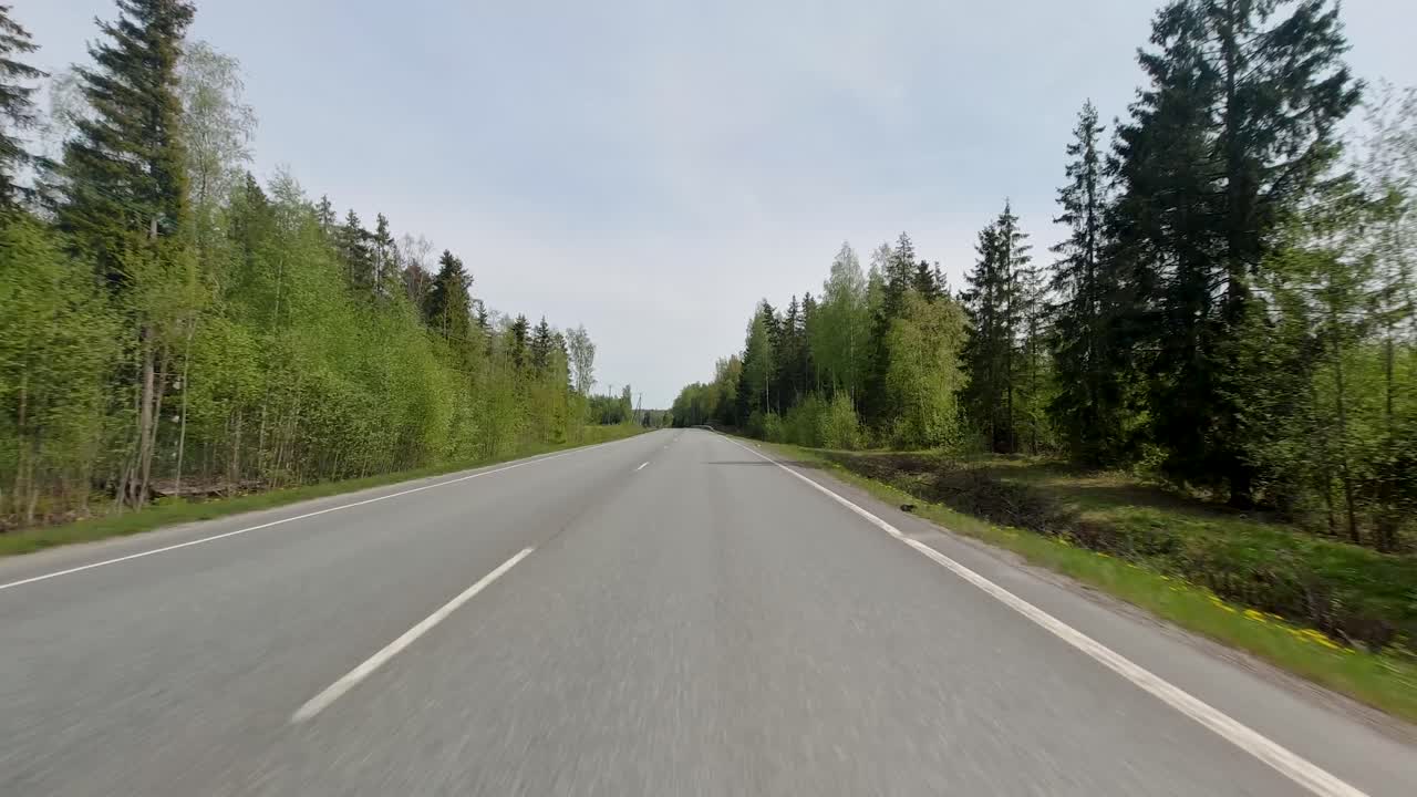 On either side of the road, cars travel amidst the lush greenery, heralding the arrival of summer and immersing the surroundings in a vibrant and refreshing ambiance