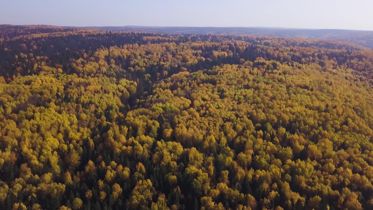 가을의 숲의 항공사진