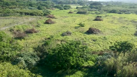 Drone-Moviéndose-Sobre-Un-Parche-De-Hierba-Con-Un-Campo-Abierto-En-La-Distancia