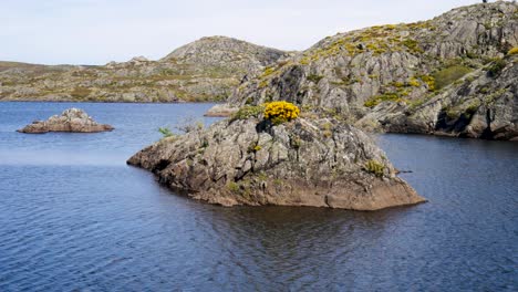 Rocky-islands-covered-in-small-flowers-in-embalse-de-cardena-zamora-spain