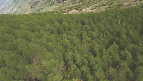 the natural beauty of souther spain's landscapes, trees, and mountains are seen in this rolling drone shot