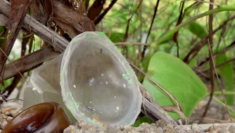 Una-Hormiga-Caminando-Sobre-Un-Vaso-De-Plástico-Muriendo-Y-Plantas-Verdes-En-El-Fondo-Disparo-Estable-4k-Asia,-Tailandia-Filmada-Con-Sony-Ax700