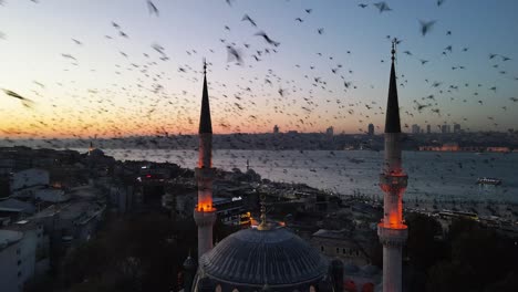 starling birds dance drone video uskudar istanbul turkey