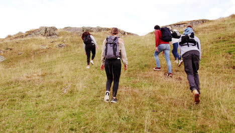 un grupo multiétnico de amigos adultos jóvenes subiendo una colina durante una caminata por la montaña, vista de atrás