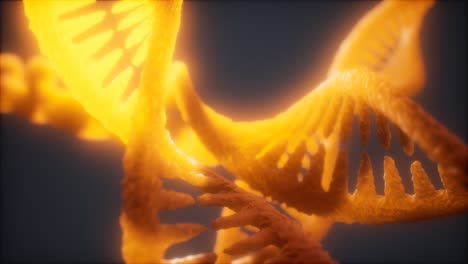 loop double helical structure of dna strand close-up animation