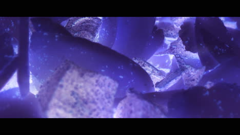 close-up of illuminated food crumbs