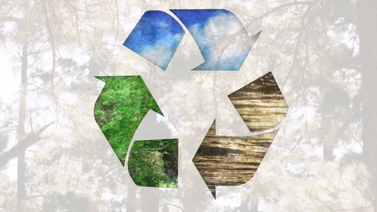Video verticale: Mostra il simbolo del riciclo in loop, animando cielo, erba e legno su una foresta per illustrare i cicli.