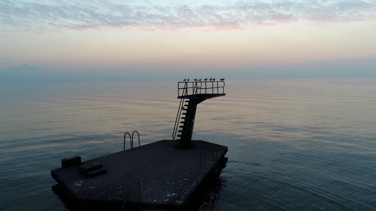 일몰 호수 léman, lutry - 스위스에서 발판에서 이륙하는 갈매기의 공중 샷