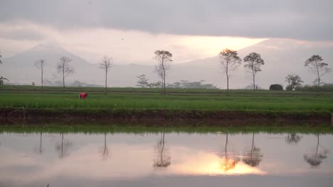 farmers activities in the morning with a mountain background accompanied by sunrise in the sky and light fog