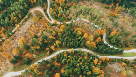 Drone-Mirando-Directamente-Hacia-Abajo-Desde-La-Perspectiva-De-Un-Pájaro-Con-Hojas-De-Otoño-Esparcidas-Por-Todas-Partes-Alrededor-De-Un-Camino-Ventoso