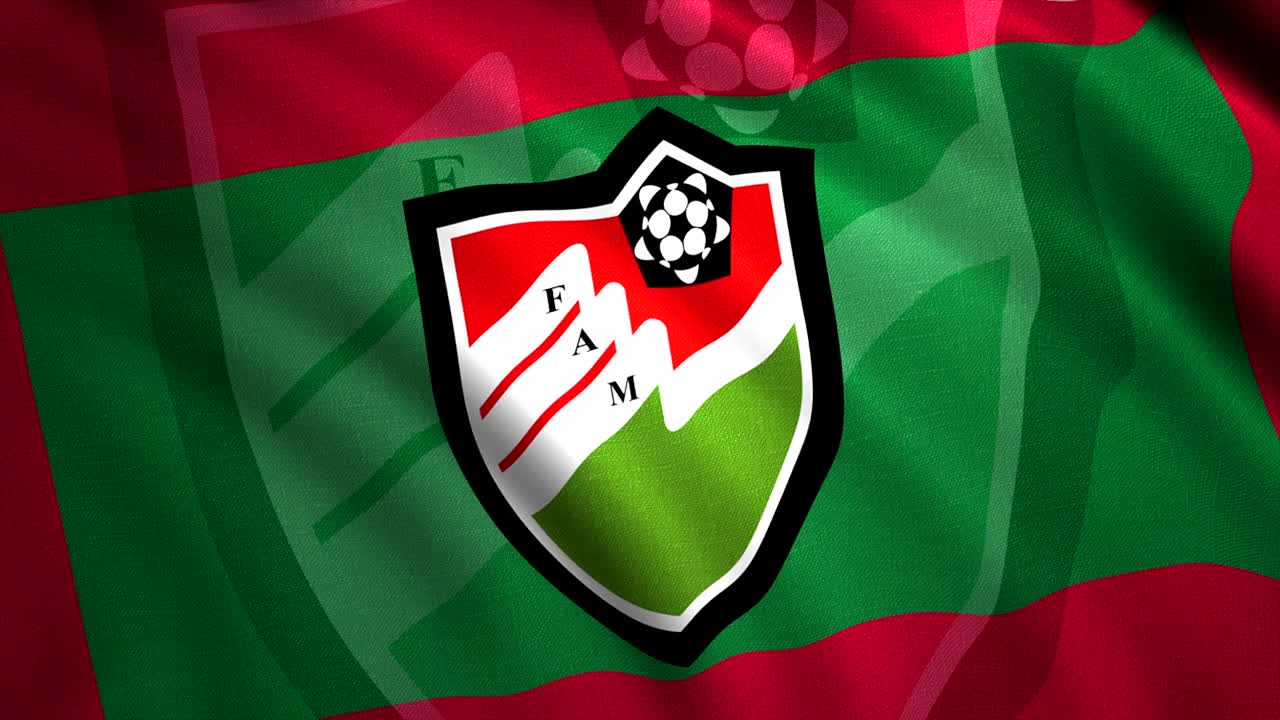 bandera de un equipo deportivo