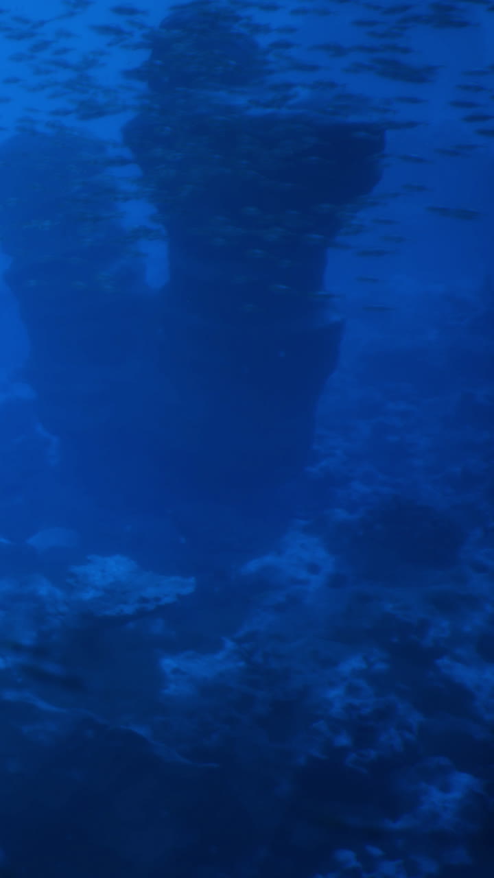 L'esplorazione subacquea rivela una nave affondata in un sereno ambiente oceanico.